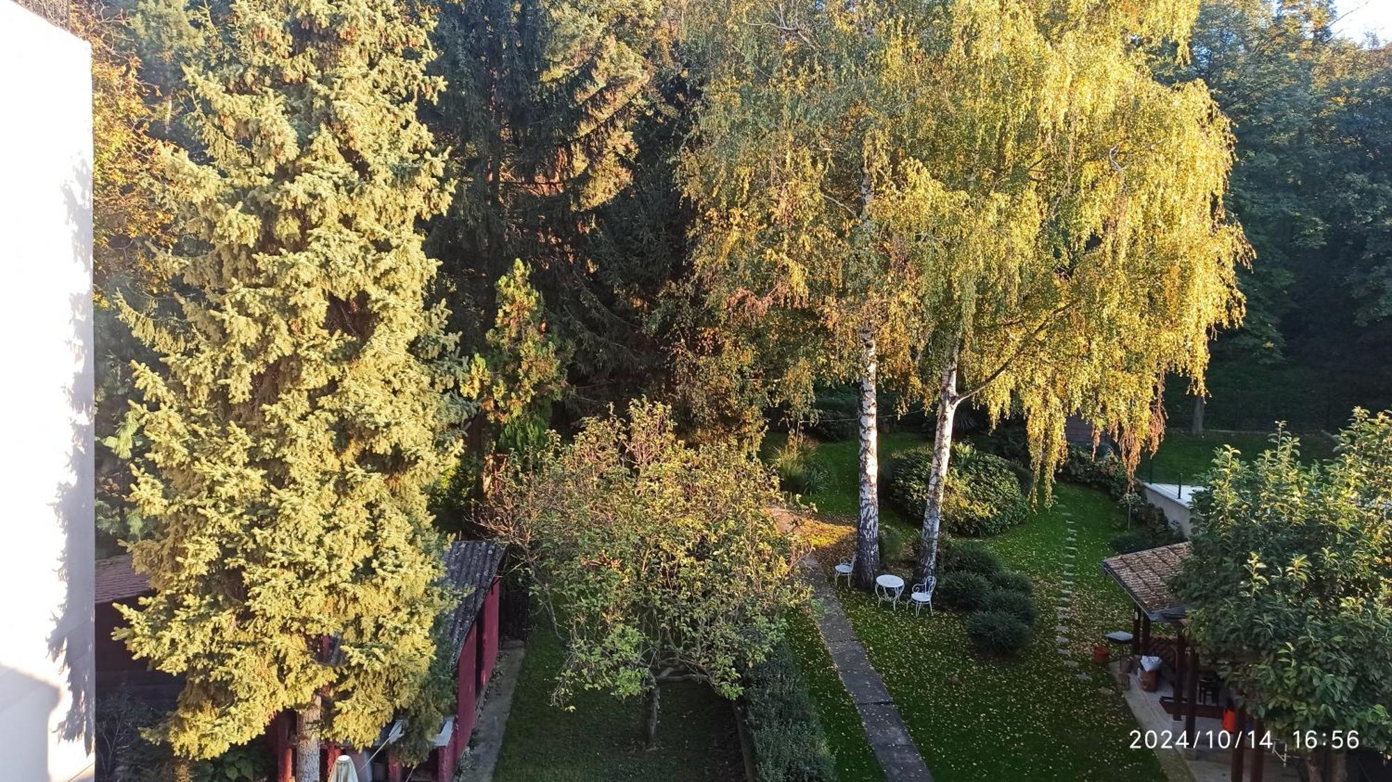 Apartman Oaza Olja Beograd Bagian luar foto