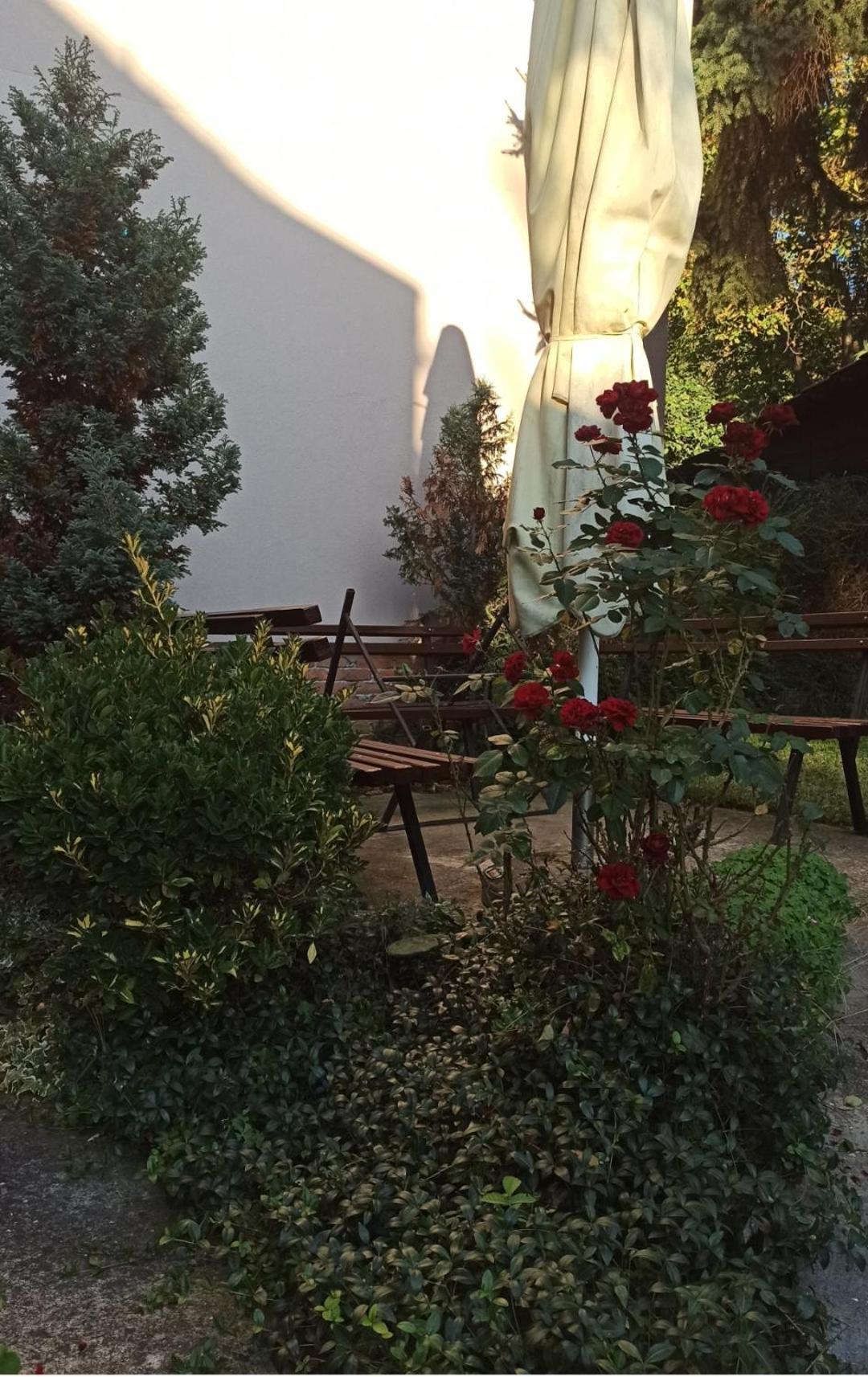 Apartman Oaza Olja Beograd Bagian luar foto